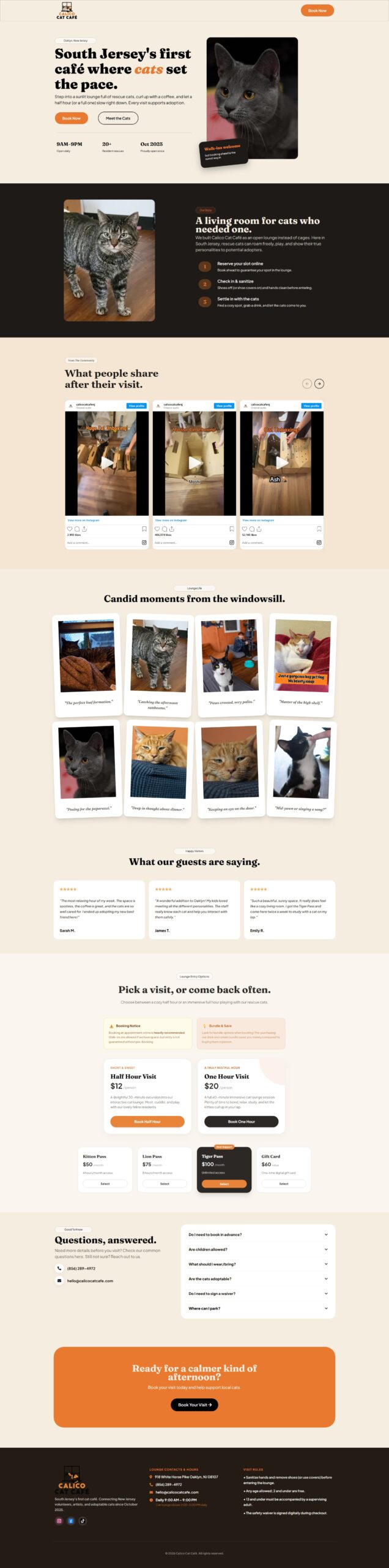 Calico Cat Cafe